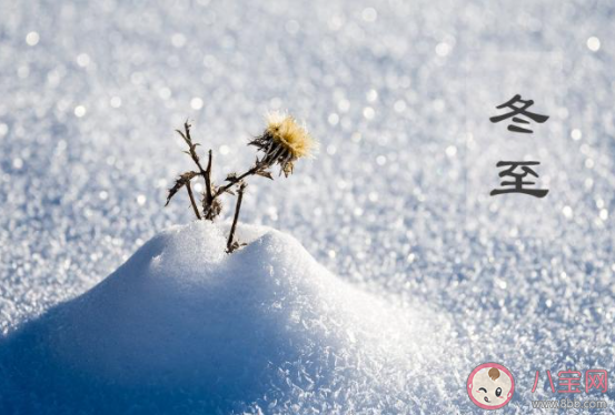 2020今日冬至帶字圖片唯美說(shuō)說(shuō) 2020今日冬至唯美圖片文案句子