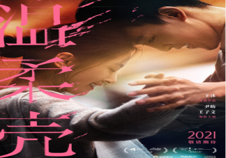 電影《溫柔殼》講述了什么故事 《溫柔殼》什么時候上映
