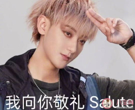 我向你敬禮salute是什么梗 我向你敬禮salute梗的出處是什么