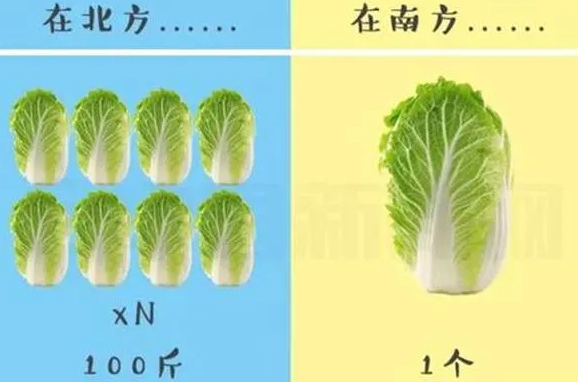 冬儲(chǔ)大白菜是從何時(shí)開(kāi)始的 螞蟻莊園12月5日答案