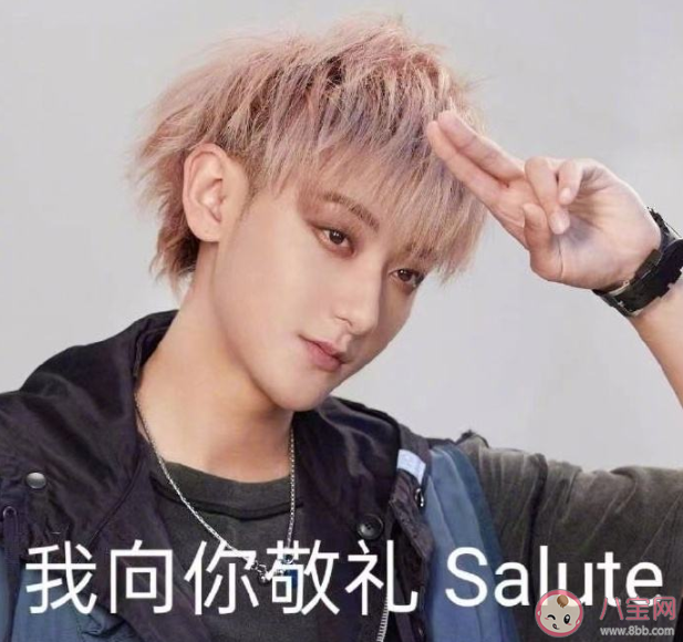 我向你敬禮salute是什么意思 我向你敬禮salute梗出處來源介紹