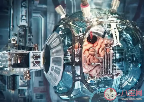 云人類是什么梗什么意思 云人類梗的出處介紹