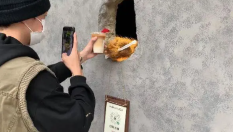 上海熊掌咖啡在哪里 熊掌咖啡店叫什么