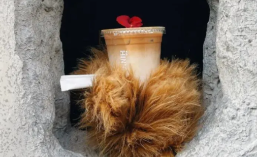 上海熊掌咖啡店怎么火的 遞咖啡的熊掌干凈嗎