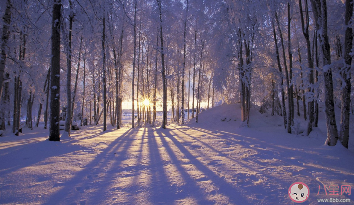 冬季養(yǎng)生適合吃的食物大全2020 冬季養(yǎng)生適合吃的食物有哪些 冬季養(yǎng)生適合吃的食物大全2020 冬季養(yǎng)生適合吃的食物有哪些