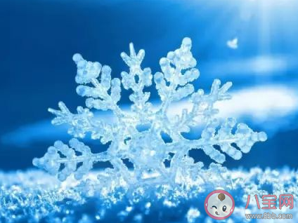 為什么積雪融化時會更冷 最新螞蟻莊園12月7日答案