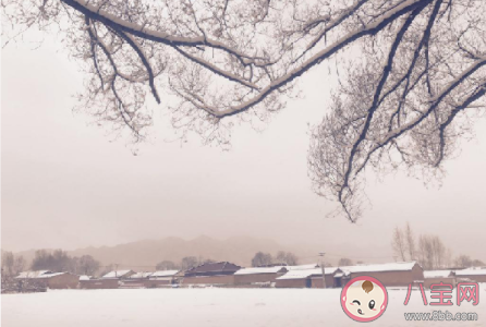為什么積雪融化時會更冷 最新螞蟻莊園12月7日答案