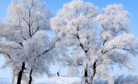 大雪節氣經典祝福語帶圖片 大雪節氣祝福短信大全