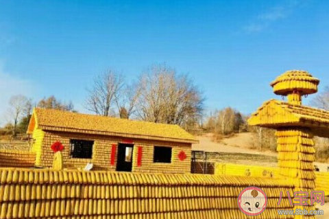 吉林農民用2萬個玉米蓋黃金屋是怎么回事 玉米都有哪些用處