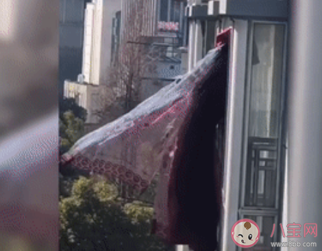 武漢網(wǎng)紅窗簾主人結(jié)婚啦是怎么回事 窗簾被博物館收藏是真的嗎
