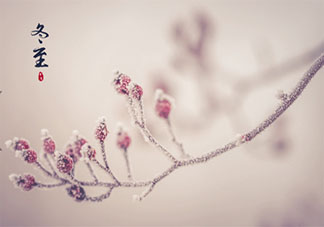 2020冬至早安心語文案說說大全 2020冬至時節早上好的說說