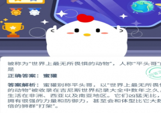 被稱為“世界上最無所畏懼的動物”人稱“平頭哥”的是 支付寶螞蟻莊園12月8日問題答案
