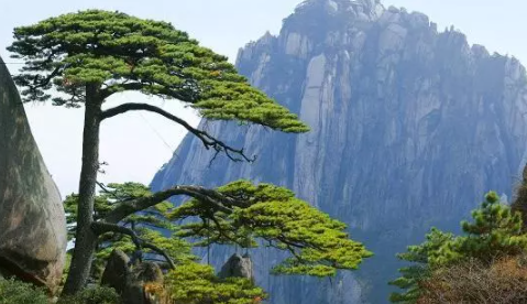 2020國際山岳日是哪一天 國際山岳日的由來和意義