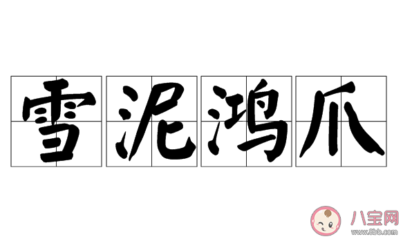 成語雪泥鴻爪是形容什么 螞蟻莊園小課堂今日12月10日答案