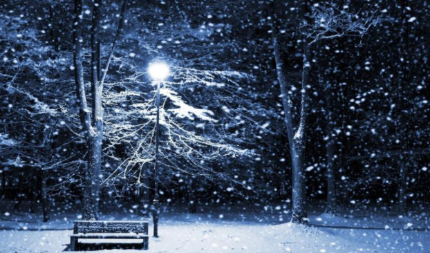 2021新年第一場雪圖片配文句子 2021第一場雪文案圖片說說 2021新年第一場雪圖片配文句子 2021第一場雪文案圖片說說