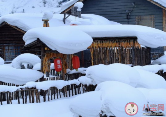 2021第一場雪文案說說 2021第一場雪心情文案大全 2021第一場雪文案說說 2021第一場雪心情文案大全