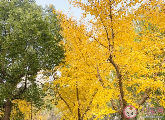 迎接2021年的短語精致文案 2020再見2021的溫馨圖片一句話