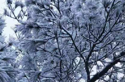 冬季第一場雪的朋友圈文案 今年的第一場雪說說句子 冬季第一場雪的朋友圈文案 今年的第一場雪說說句子