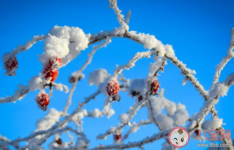 2021第一場雪說說心情短語 第一場雪的心情句子