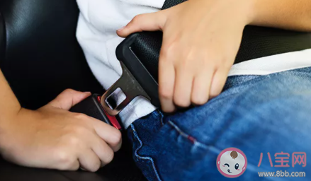 高鐵不用安全帶的原因是什么 螞蟻莊園12月15日答案