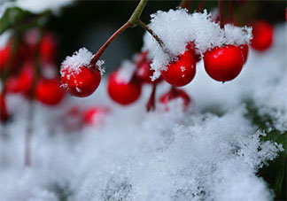 2021第一場雪文案說說 2021第一場雪心情文案大全