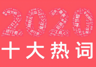 中外2020年度熱詞盤點(diǎn) 中外2020年度熱詞分別是什么