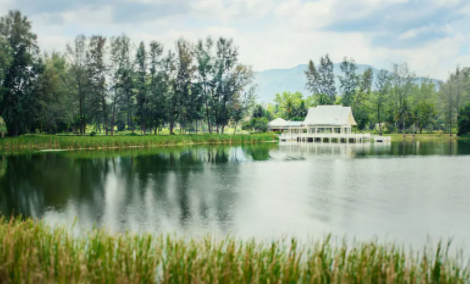 為什么越來越多女性獨立買房 女性獨立買房意味著什么 為什么越來越多女性獨立買房 女性獨立買房意味著什么
