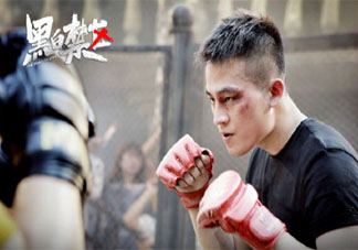 《黑白禁區》原著小說是什么 《黑白禁區》劇情簡介