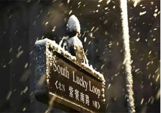 2021抖音初雪超火文案說說 2021抖音很火的初雪文案