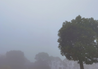 2020還剩半個月發朋友圈配圖文案 202最后半個月心情感言句子