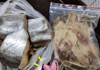 收到家人寄的東西開心說說 家里人給寄東西心情一句話