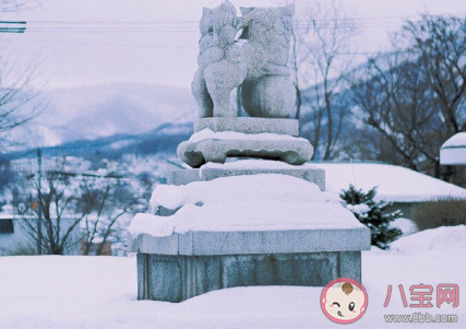 2020最后十五天怎么發朋友圈 最后15天的心情句子