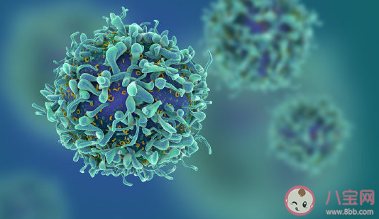 我國超一半人感染幽門螺桿菌怎么回事 感染幽門螺桿菌要怎么治療 我國超一半人感染幽門螺桿菌怎么回事 感染幽門螺桿菌要怎么治療