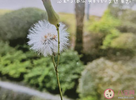 跨年夜和生日同一天心情說(shuō)說(shuō) 跨年跟生日同一天朋友圈文案 跨年夜和生日同一天心情說(shuō)說(shuō) 跨年跟生日同一天朋友圈文案