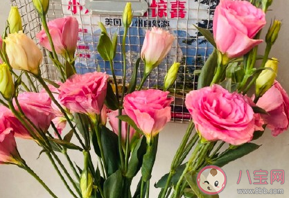 2021跨年夜朋友圈沙雕文案 跨年夜搞笑句子大全