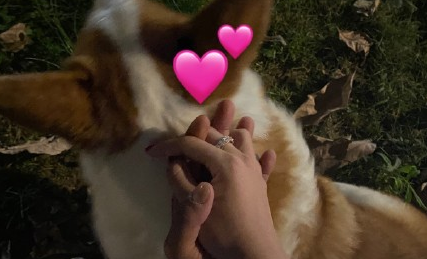 2021適合跨年夜發的幽默句子 跨年夜的搞笑段子