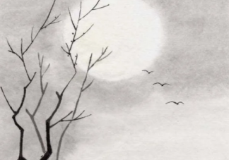 問世間情為何物直教人生死相許最開始寫的是 支付寶螞蟻莊園12月17日問題答案