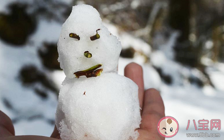 艷陽天里真的能“大雪紛飛”嗎 支付寶螞蟻莊園12月18日問題答案