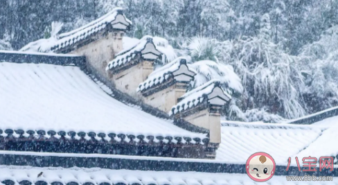 艷陽天里真的能“大雪紛飛”嗎 支付寶螞蟻莊園12月18日問題答案