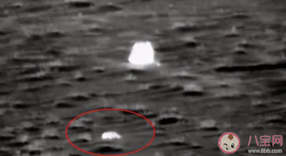 嫦五回家那個搶鏡的小動物是誰 第一個找到嫦五的是哪種動物