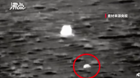 第一個(gè)找到嫦娥五號(hào)的小動(dòng)物是誰 發(fā)現(xiàn)嫦五的是兔子嗎