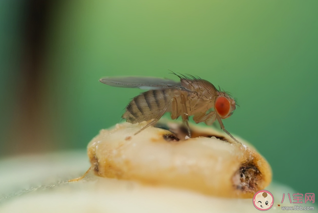 2020年十大重要科學發現是什么 十大科學秘密解答