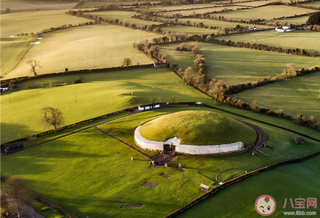 2020年十大重要科學發現是什么 十大科學秘密解答