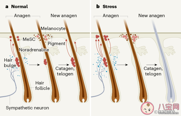 2020年十大重要科學發現是什么 十大科學秘密解答
