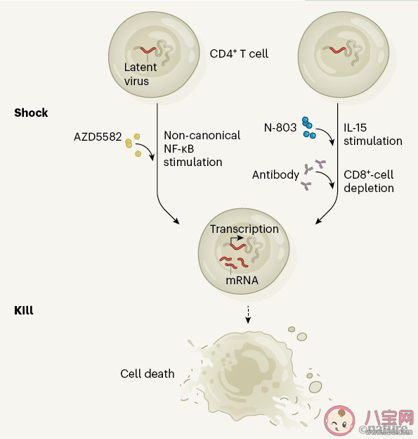 2020年十大重要科學發現是什么 十大科學秘密解答