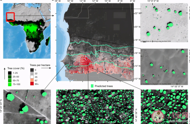 2020年十大重要科學發現是什么 十大科學秘密解答