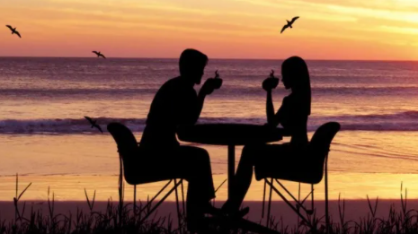 985相親局的特點是什么 985相親局什么意思 985相親局的特點是什么 985相親局什么意思