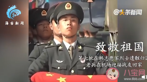 2020的20個(gè)敬禮大全帶圖片 20個(gè)敬禮背后的故事 2020的20個(gè)敬禮大全帶圖片 20個(gè)敬禮背后的故事