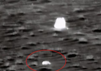 嫦五回家那個搶鏡的小動物是誰 第一個找到嫦五的是哪種動物