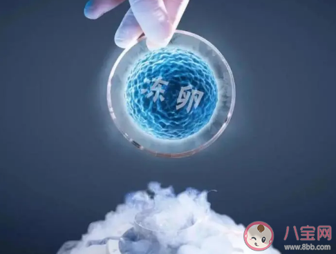 女性的生育成本到底有多高 女性的生育權怎么選擇 女性的生育成本到底有多高 女性的生育權怎么選擇